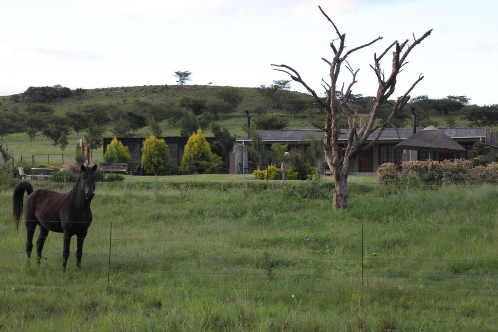 Drakensview Self Catering