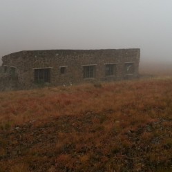 1254.jpg