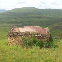 161.jpg