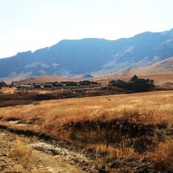 1982.jpg