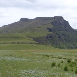 2125.jpg