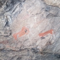 2257.jpg