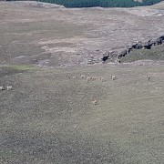 2272.jpg