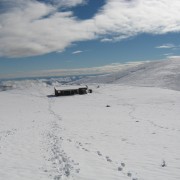 2659.jpg