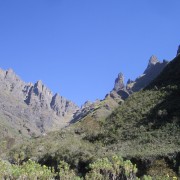 2685.jpg