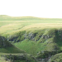 287.jpg