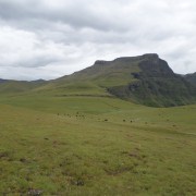 3161.jpg