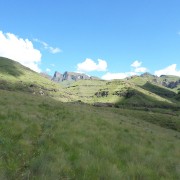 3167.jpg
