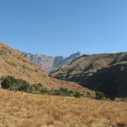 3375.jpg