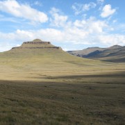 3379.jpg