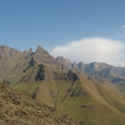 3772.jpg
