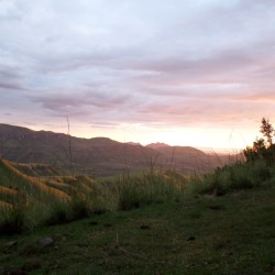 458.jpg