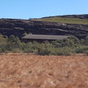 4630.jpg