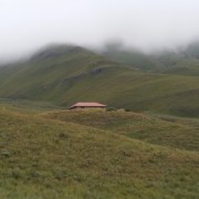 4690.jpg