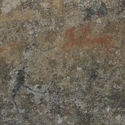 4972.jpg
