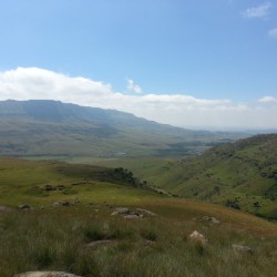 680.jpg